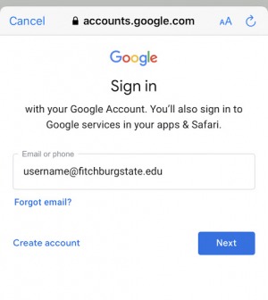 Sign in with your Google Account. You'll also sign in to Google services in your apps & Safari.
