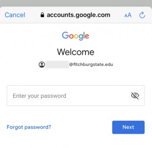 Screenshot showing the page where you enter your password.