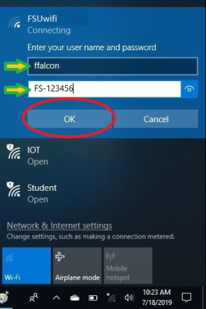 Image showing screen where you enter your Falcon Key.