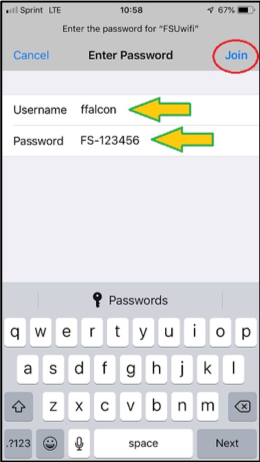 Image showing the screen where you enter your Falcon Key.