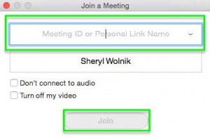 Screenshot showing the Meeting ID text field and the Join button.