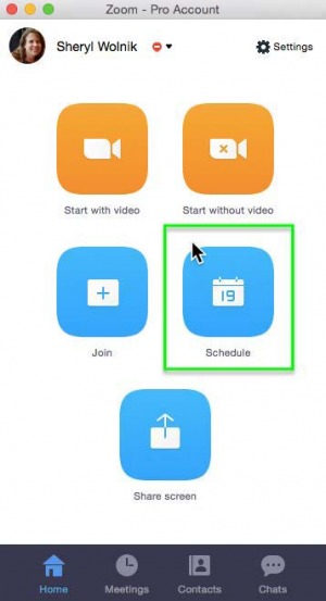 Screenshot showing the button used to schedule a meeting.